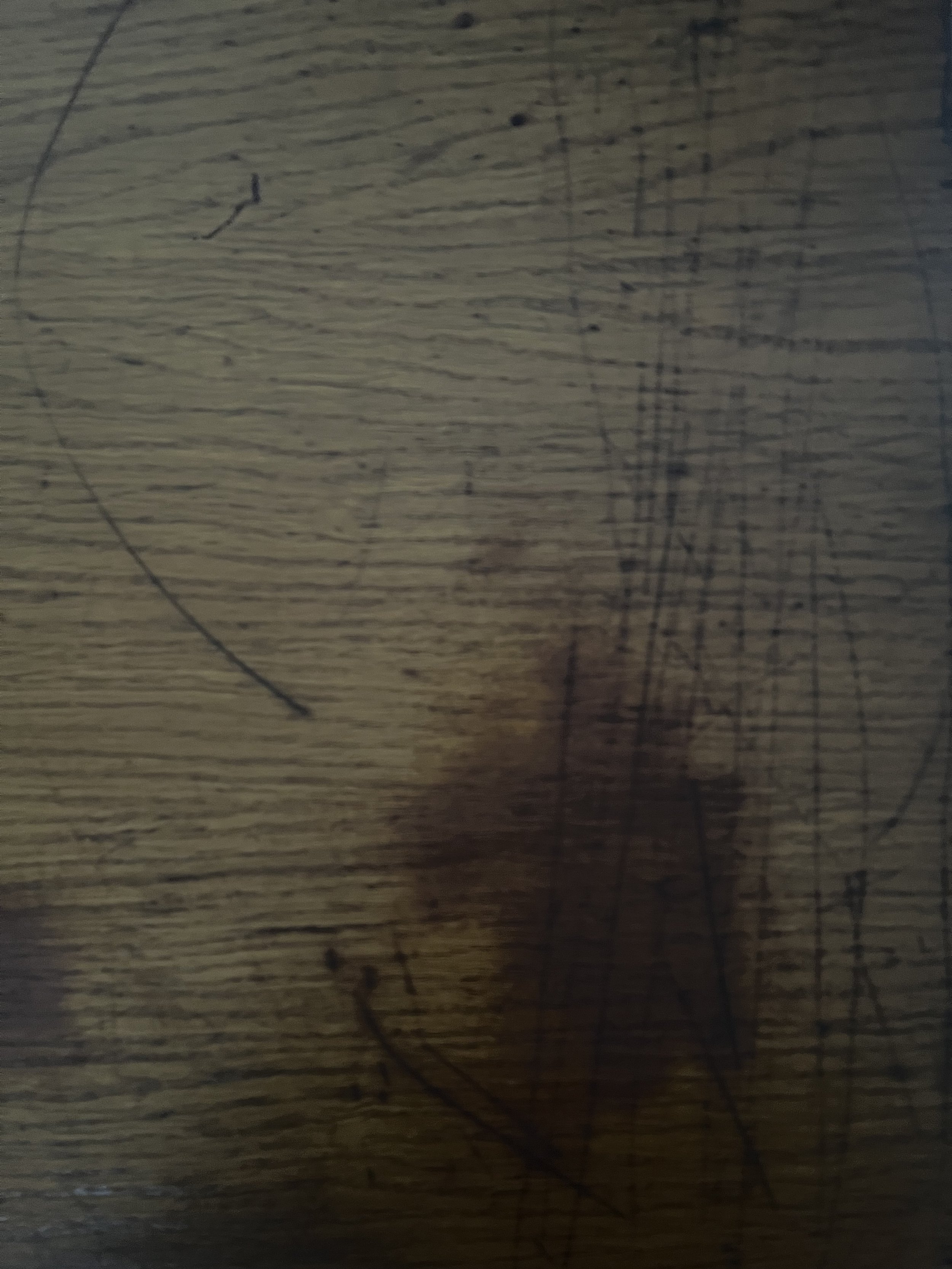 IMG_4678.jpeg