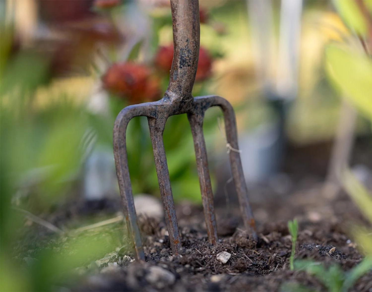 Seasonality as a strengh