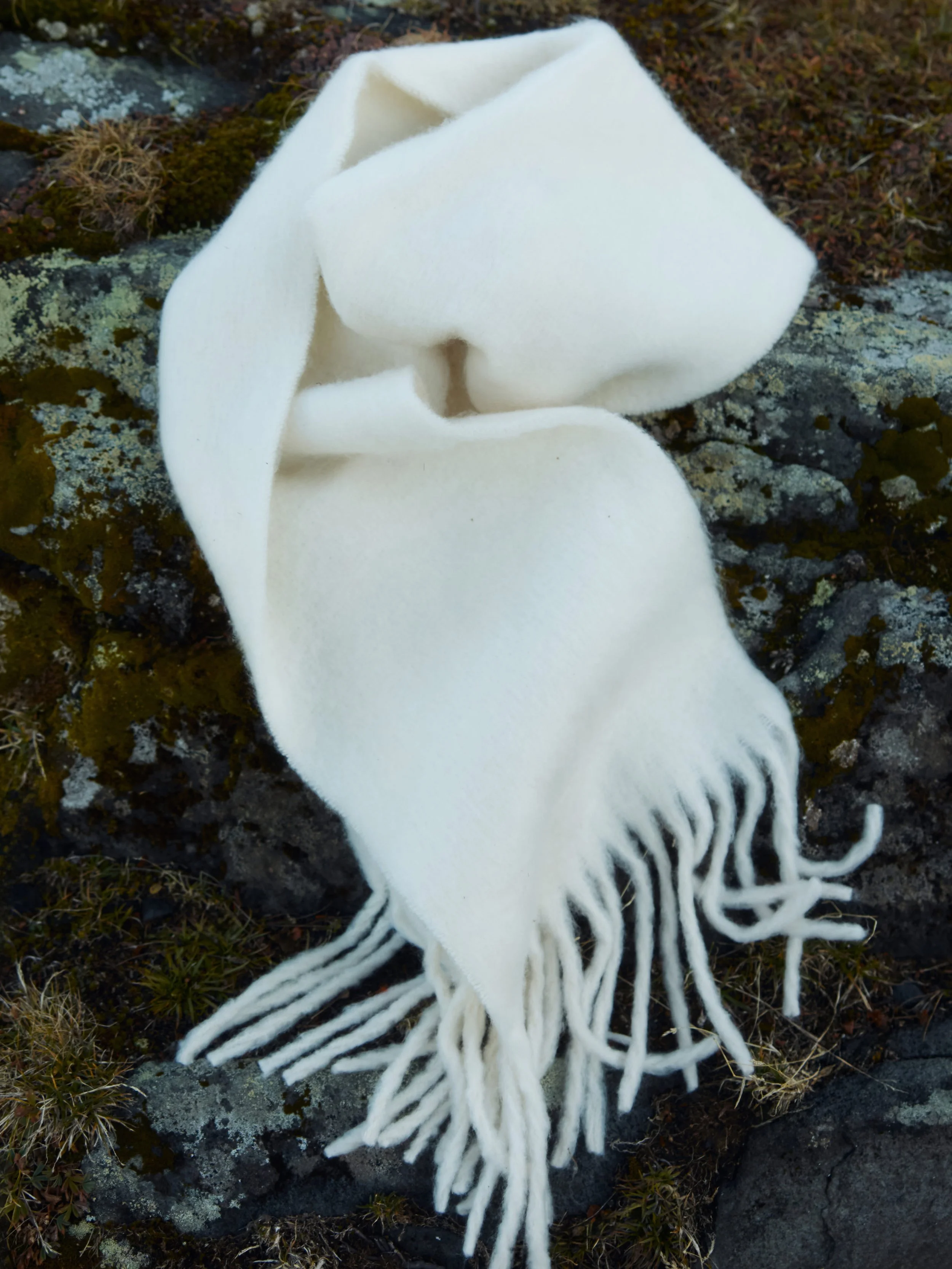 test home 37 (1).jpg