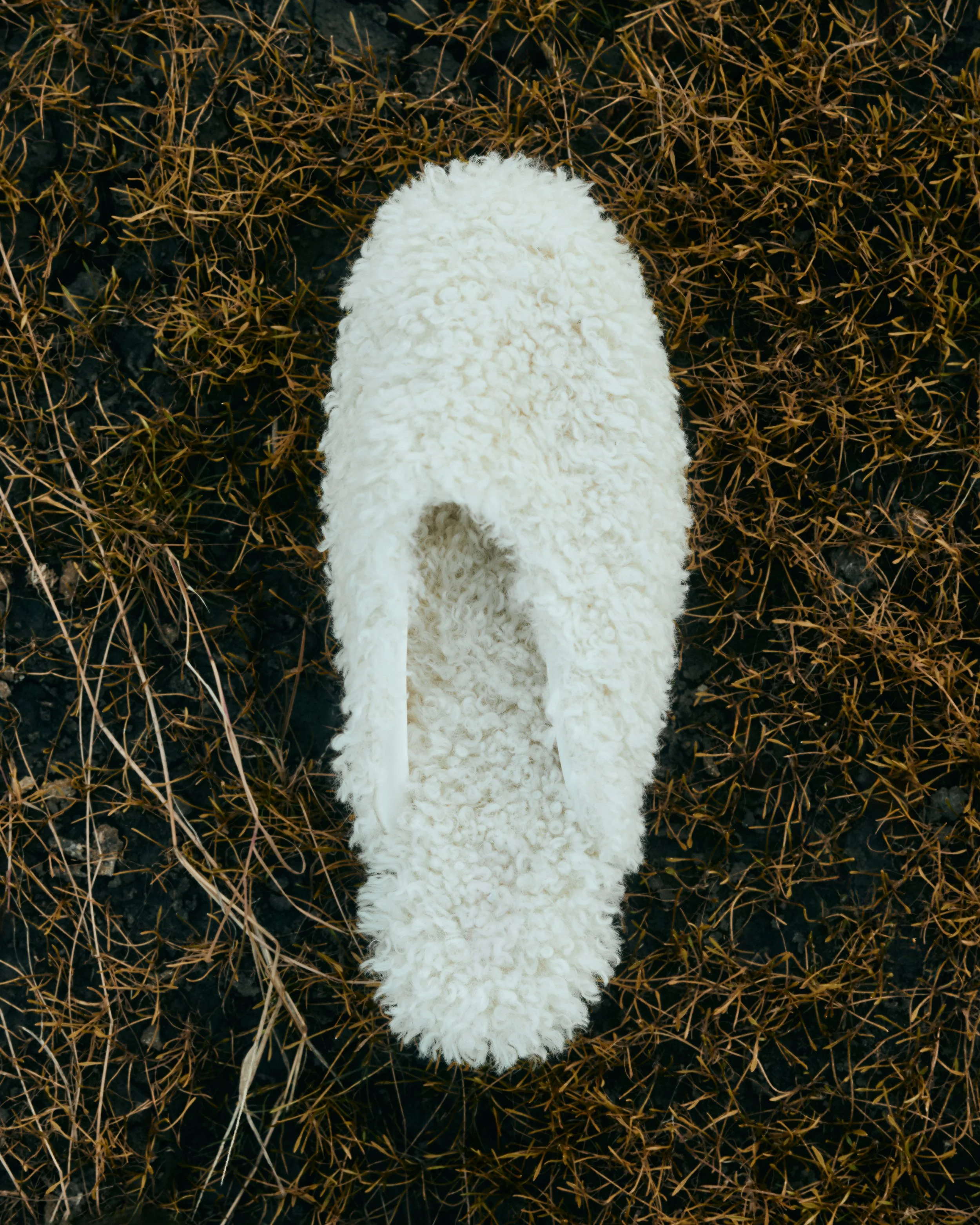 test home 38 (1).jpg