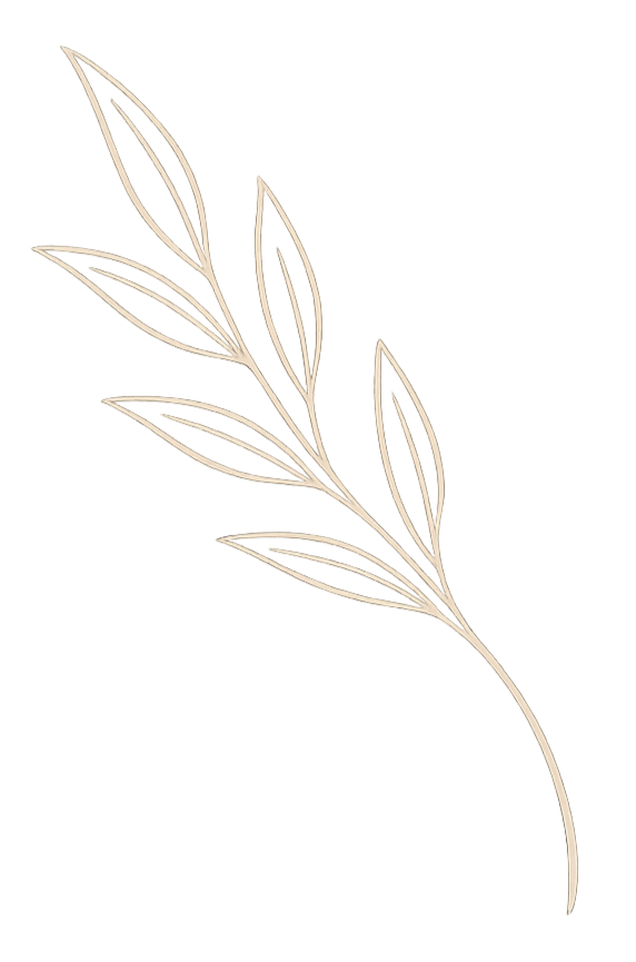 Outline illustration of a botanical leaf with multiple elongated leaves on a single stem.