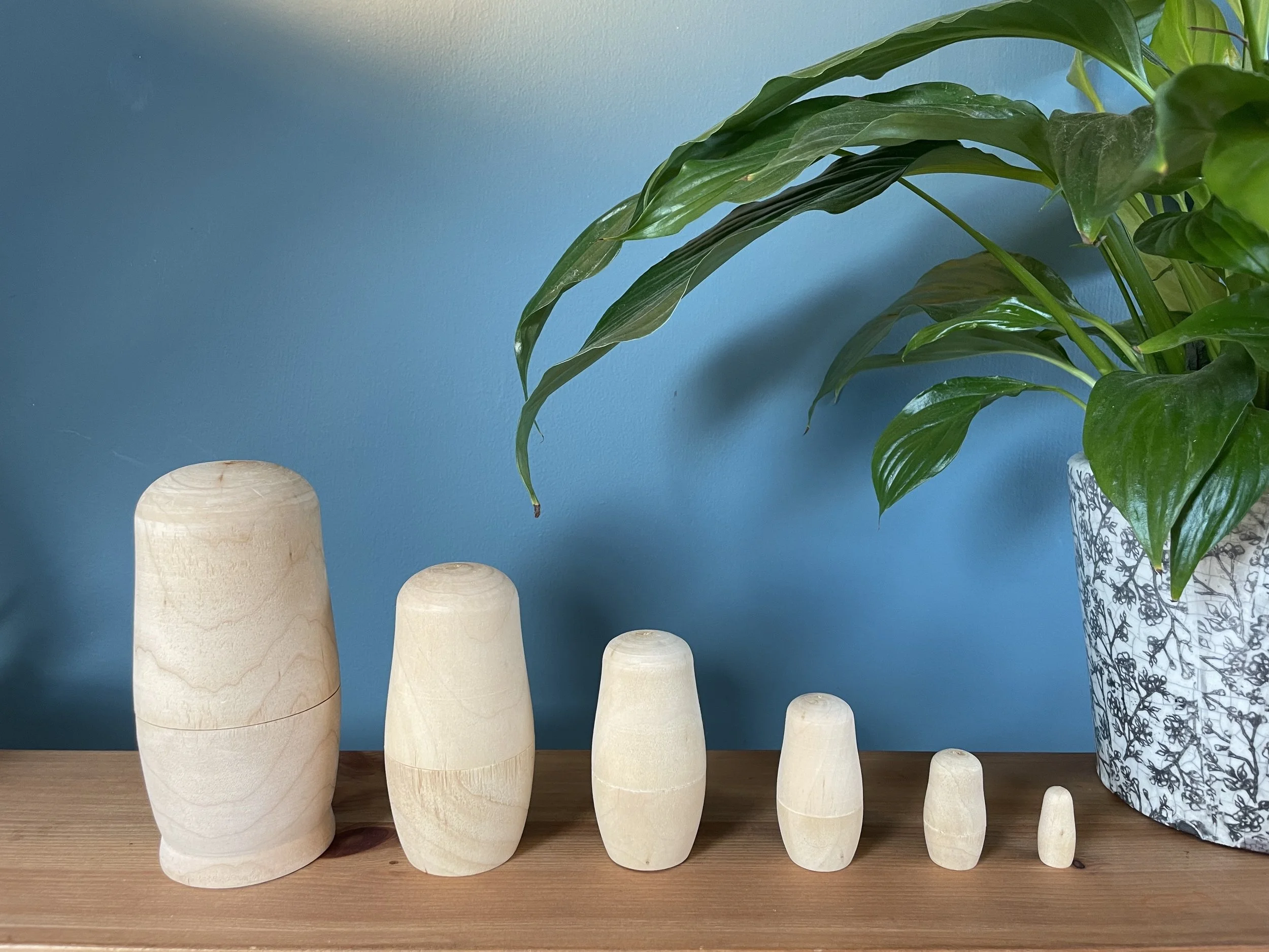Six wooden nesting dolls of increasing size next to a potted plant with large green leaves on a wooden surface against a blue wall.