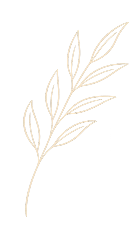 A minimalist illustration of a delicate branch with elongated leaves, depicted with thin, light lines on a black background.