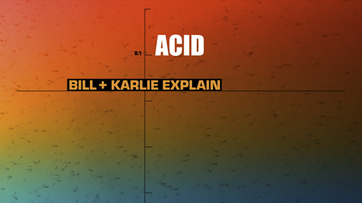 Screenshot 2024-01-11 at 12.04.36.png