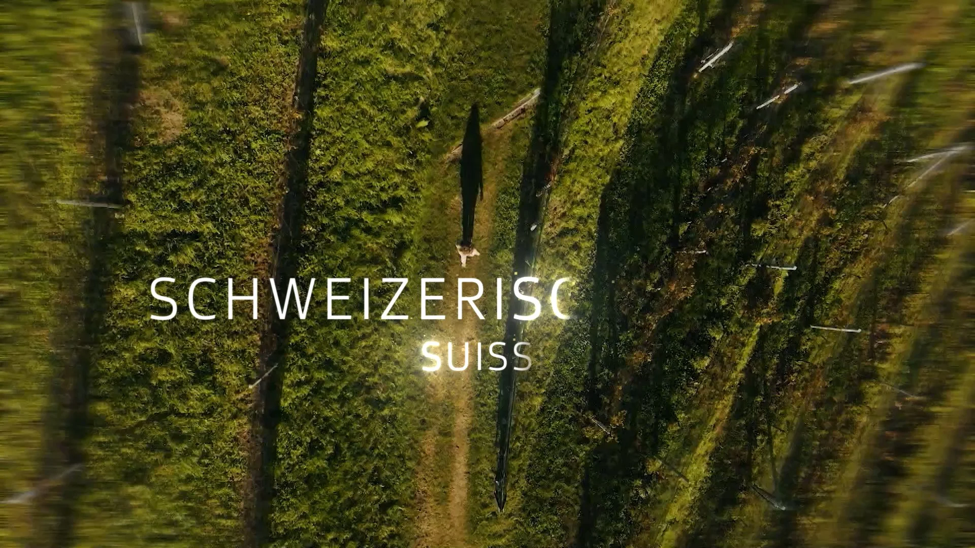 SRG_Type 3_6_450058.jpg