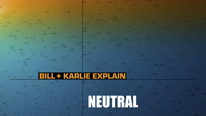 Screenshot 2024-01-11 at 12.04.04.png