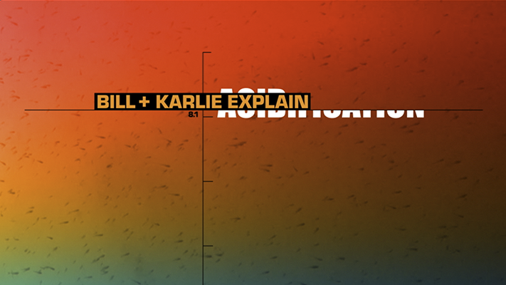 Screenshot 2024-01-11 at 12.05.09.png