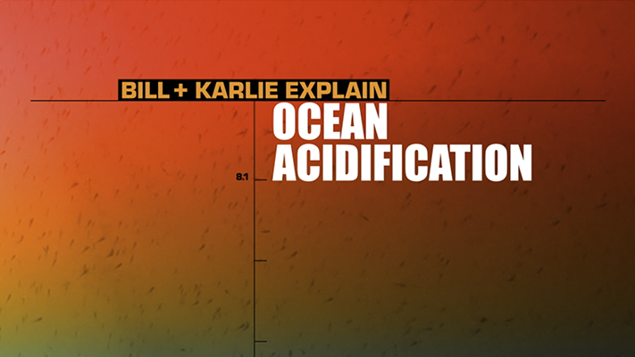 Screenshot 2024-01-11 at 12.05.33.png