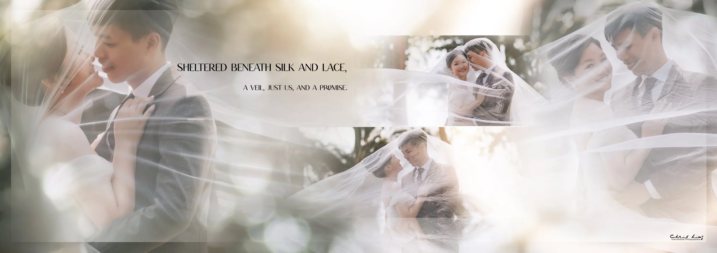 A romantic wedding scene with a couple under a veil, smiling and looking into each other's eyes, with sunlight filtering through trees in the background.
