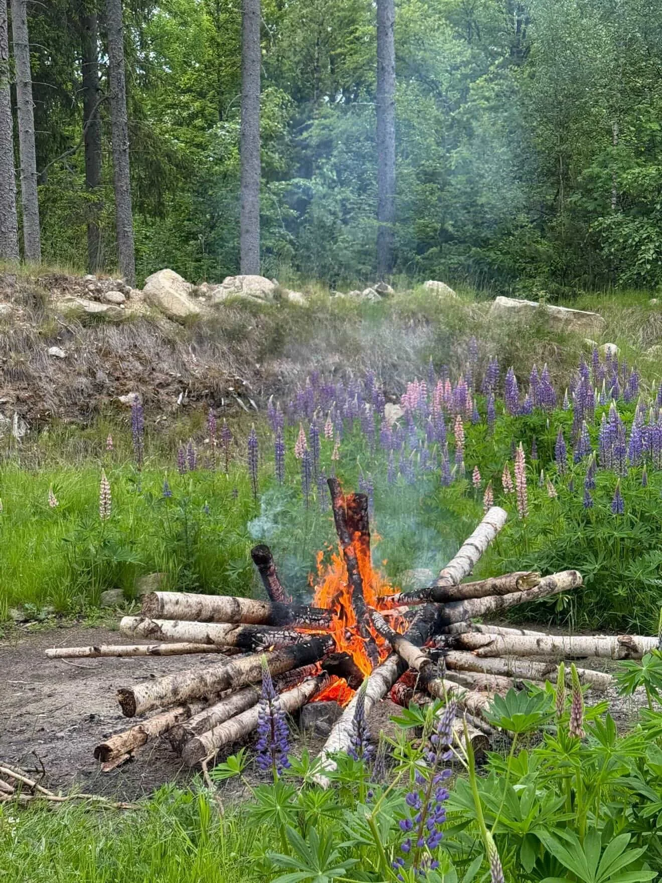 4C42A061-378E-4502-AF27-8DB0737DB08C 2.JPG