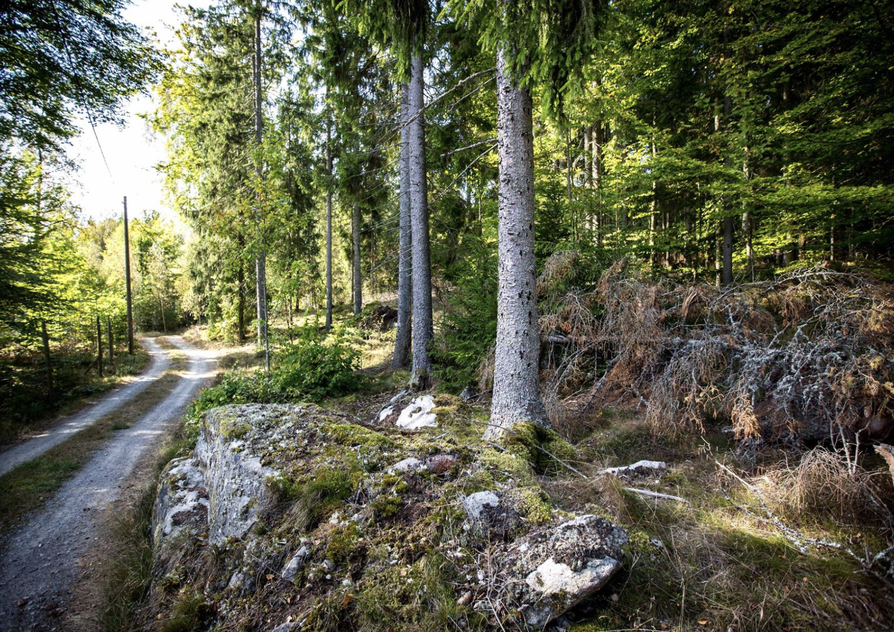 Skærmbillede 2026-03-06 kl. 22.29.56.png