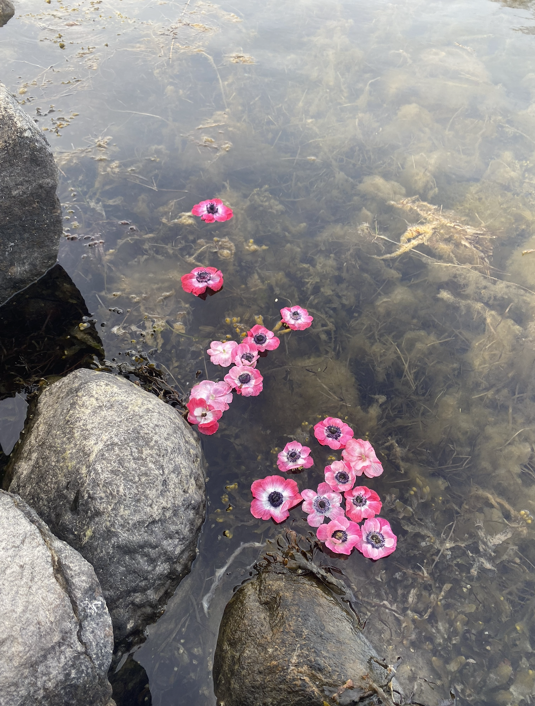 Skærmbillede 2026-03-22 kl. 00.37.53.png