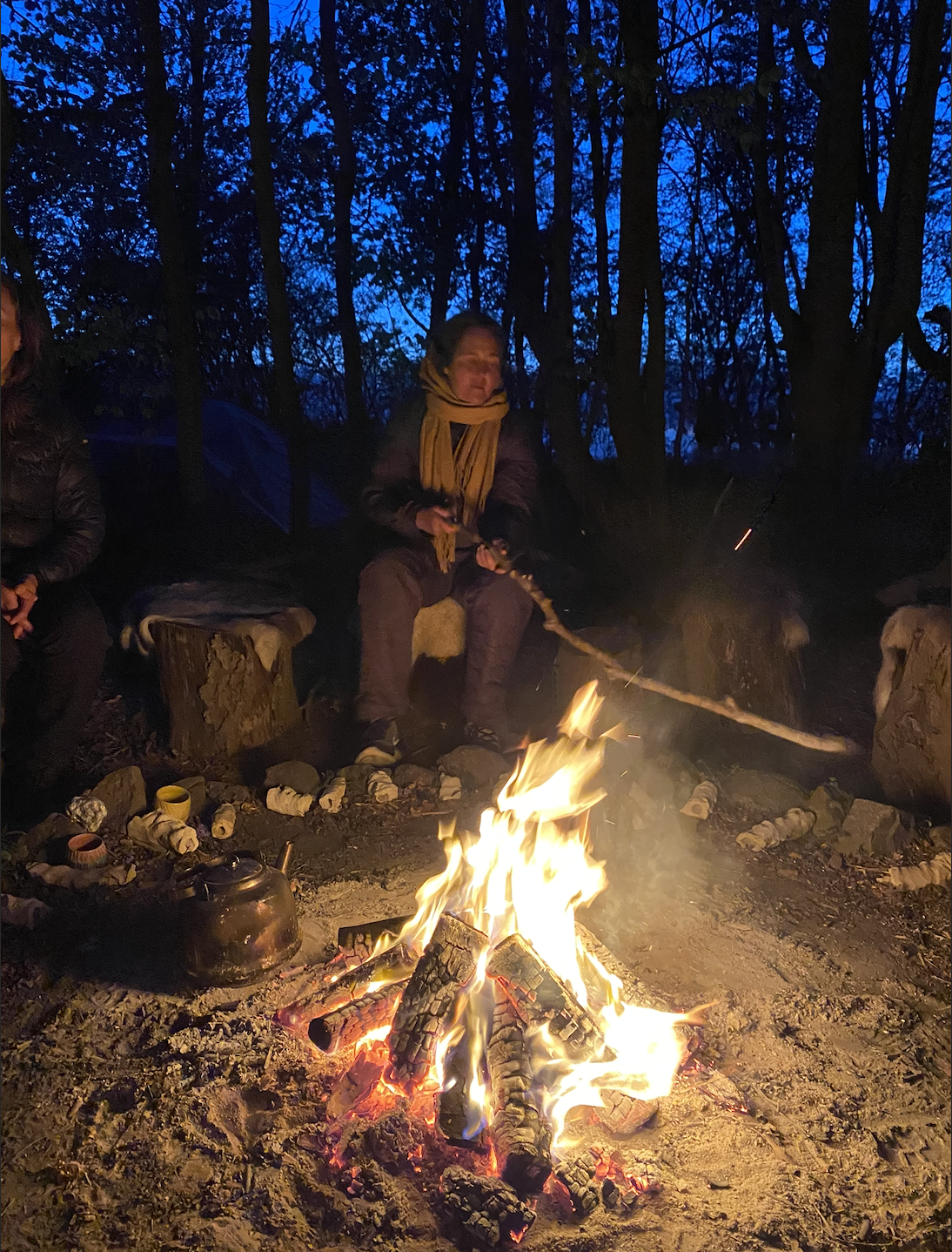 Skærmbillede 2026-03-22 kl. 00.37.42.png