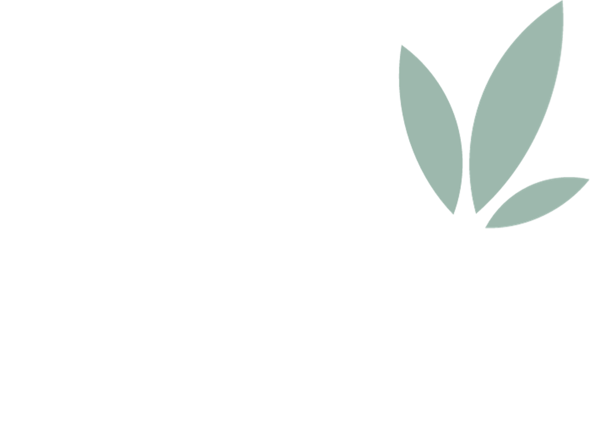 The Bath Tree Company