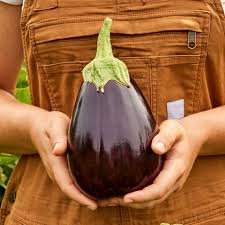 Pop-Up: Eggplant Parm