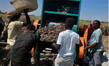 South Darfur: How famine was averted by peacebuilders 