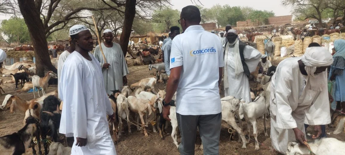 Unlocking the Potential of Rangelands and Pastoralists in Central Africa