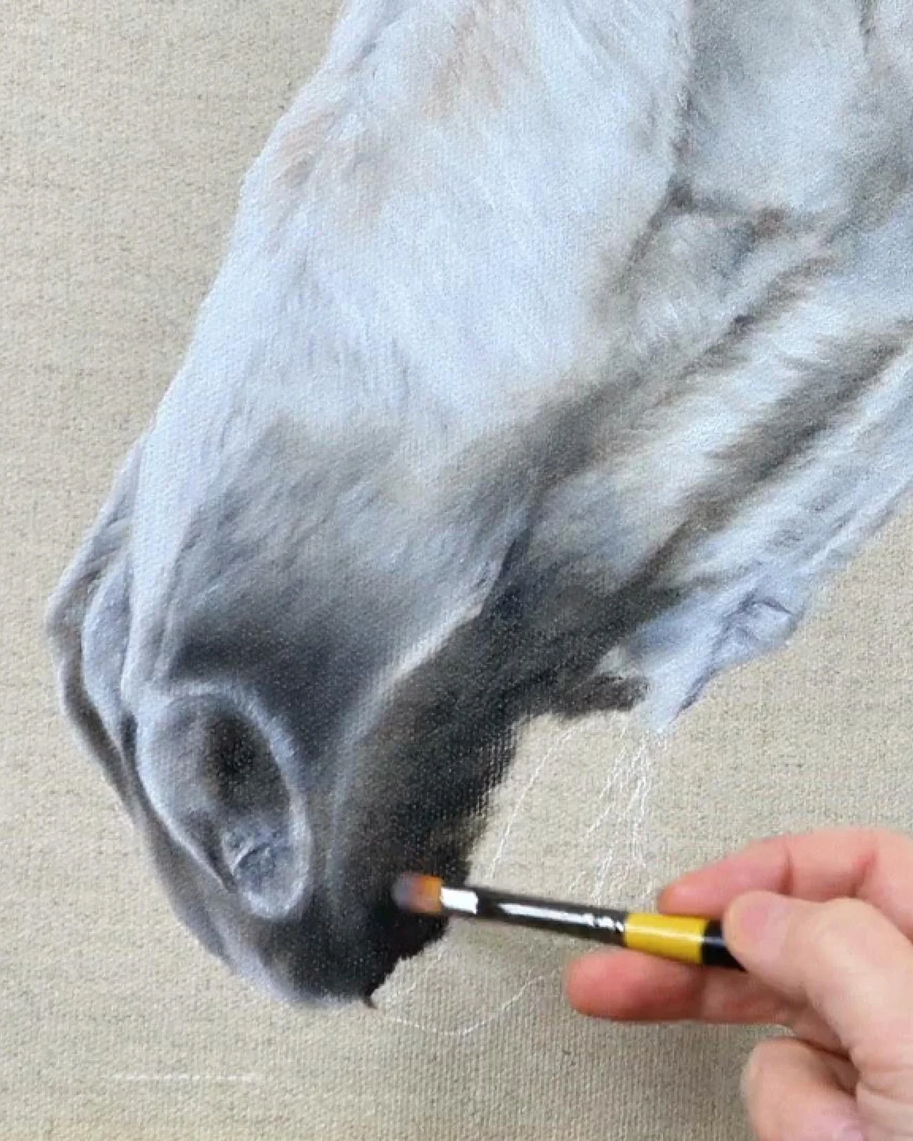 underpainting muzzle.jpg