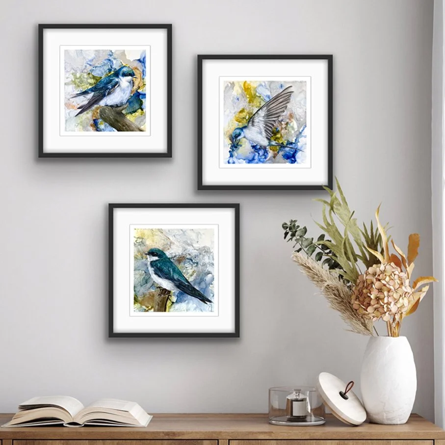 Set of 3 Swallow prints SQ from original aintings on Fluid Background by artists Nikki Carr.jpg