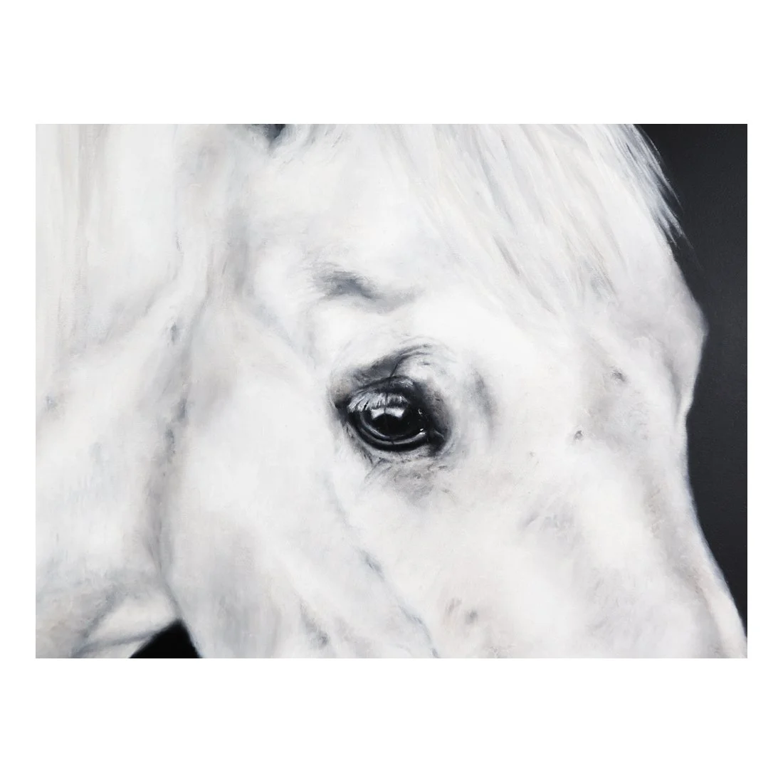 JASPER detail of eye - oil painting on wood panel by artist Nikki Carr.jpg