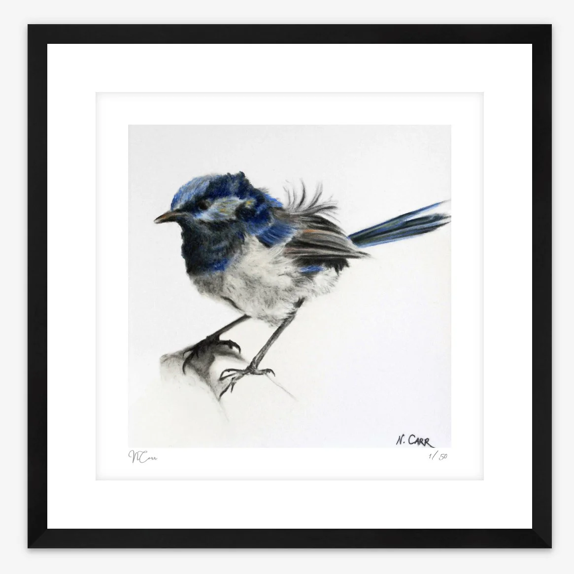 BLUEBIRD framed print from original charcoal drawing by artist Nikki Carr black.jpg