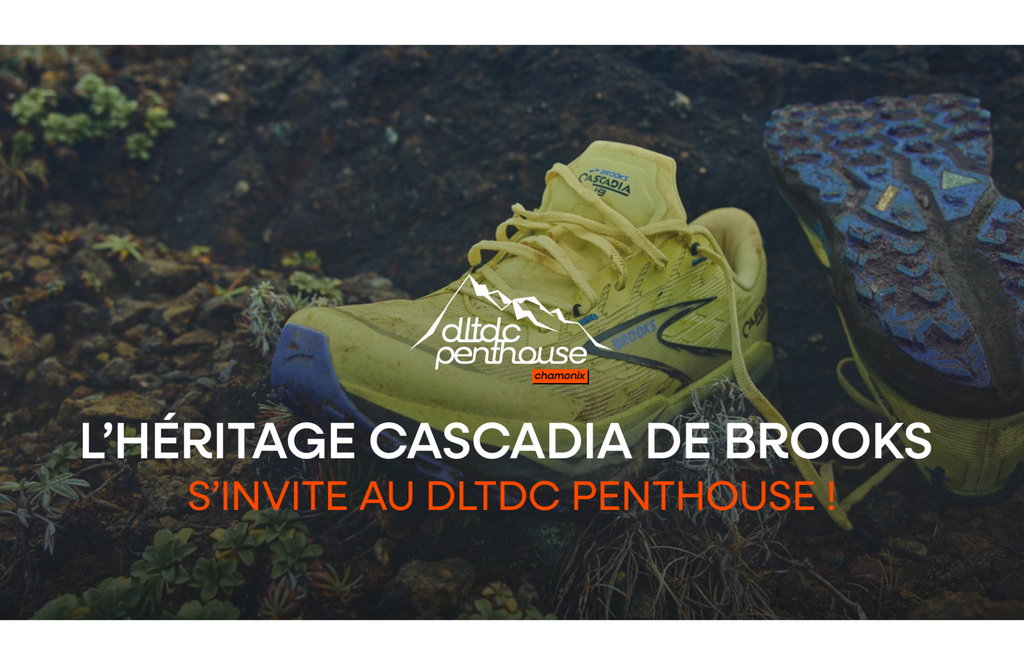 L’héritage Cascadia de Brooks s’invite au DLTDC Penthouse !