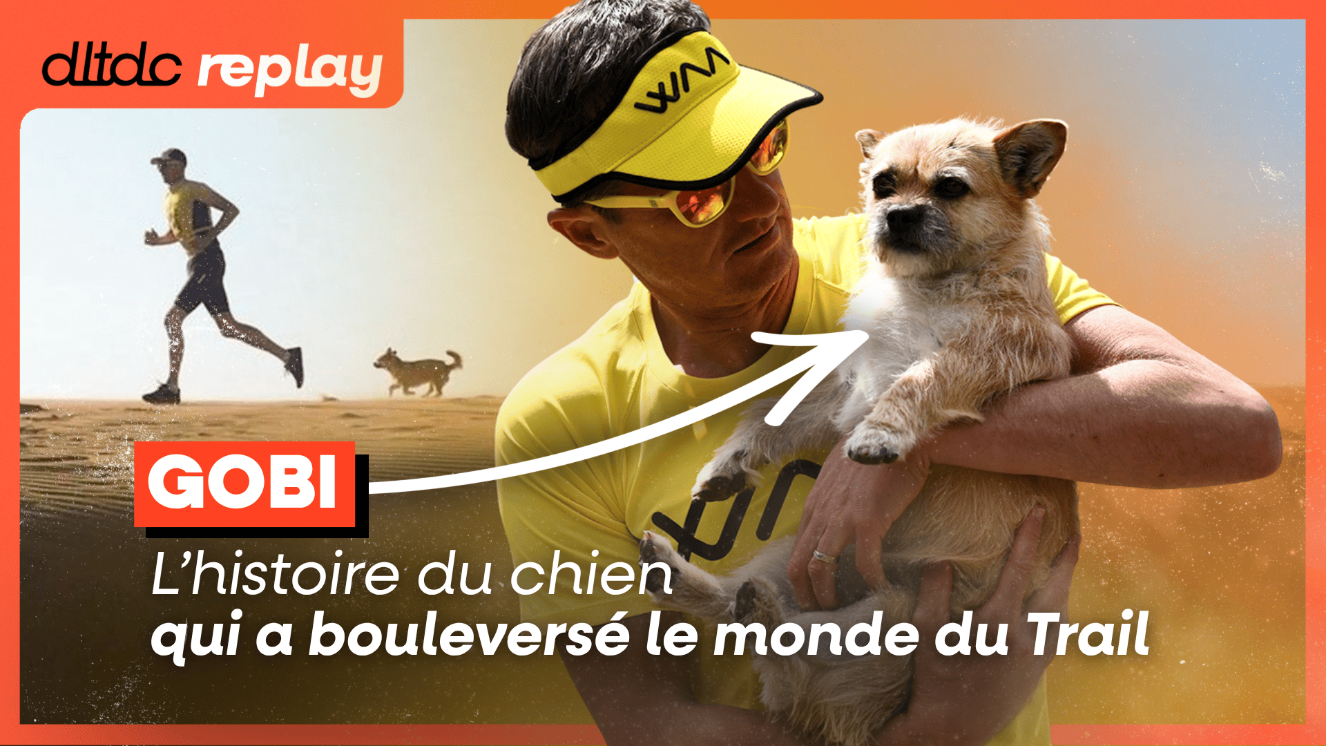 L'incroyable histoire de Gobi : le chien errant qui a couru 100km aux côtés d’un inconnu  (copie)