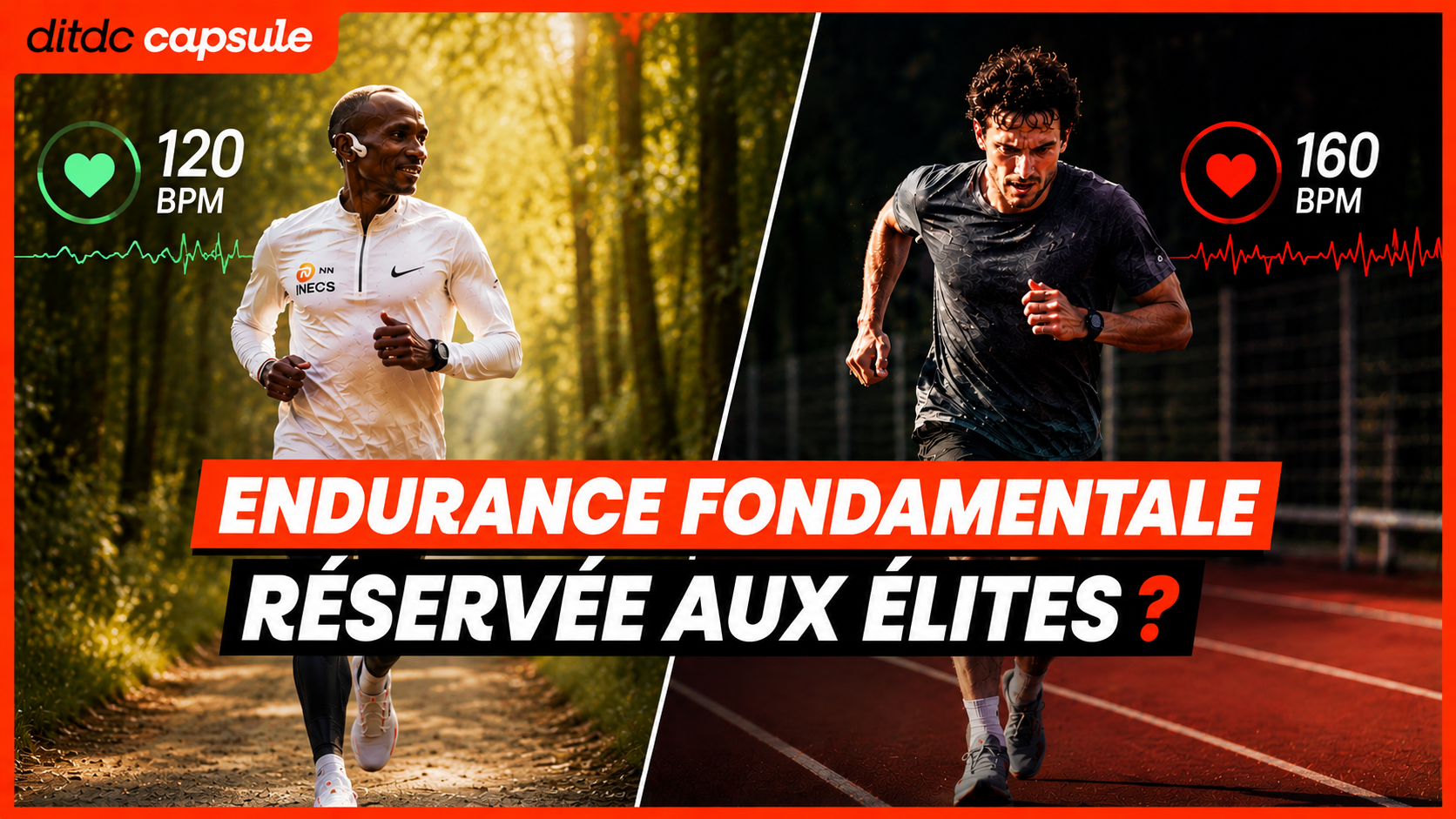 Endurance Fondamentale : Les amateurs perdent-ils leur temps ?  