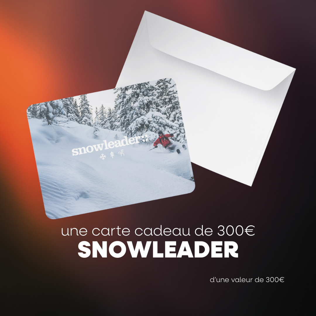 20 CASE CADEAU SNOWLEADER.png