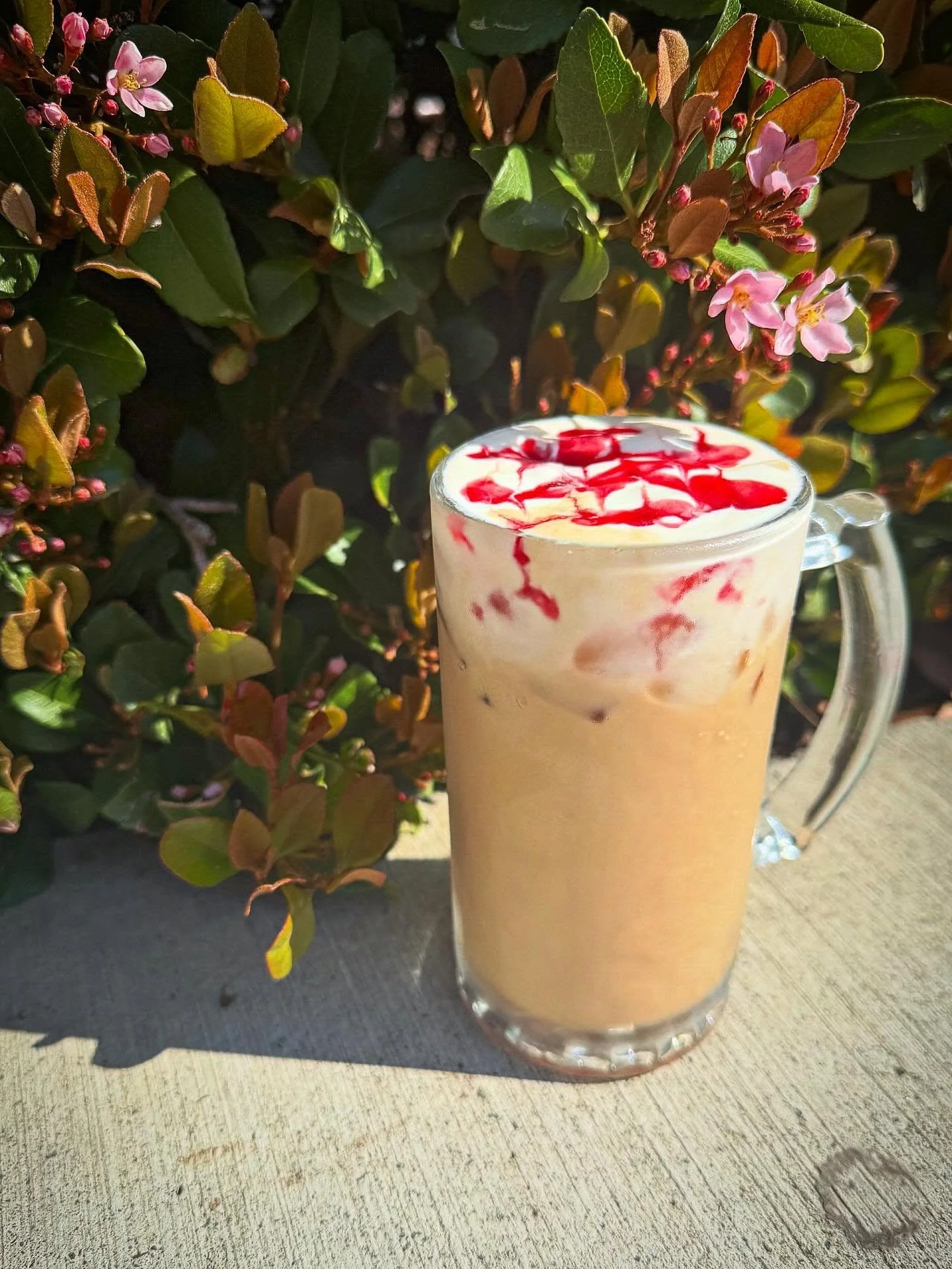 🌷Spring Seasonals🌷

🌸Raspberry Danish Latte 
The good people at @littlejoycoffee came up with this fantastic raspberry latte with cream cheese cold foam and invited coffee shops around the world to make and serve it! 

🐢🍫Turtle Latte
Caramel Lat