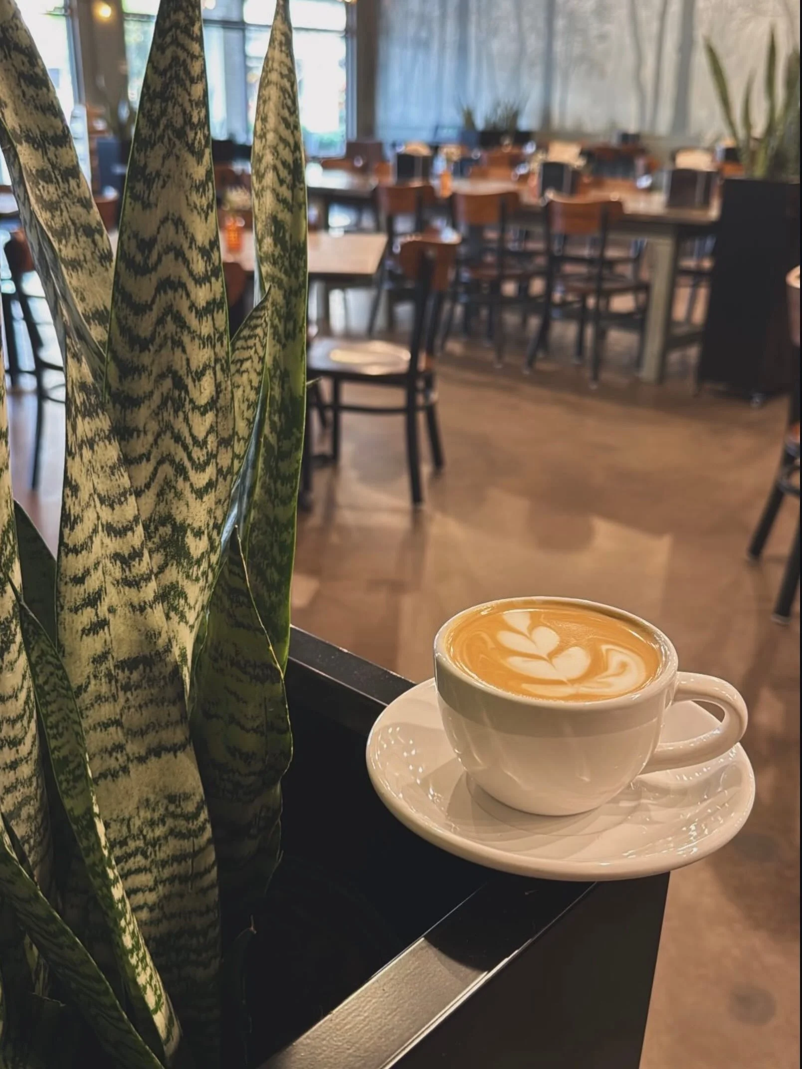 💡New Lighting ✅
🪑New Chairs ✅
🪴Real Plants ✅

And that&rsquo;s not even all the improvements we have made! If you haven&rsquo;t been recently, come see what we have been up to!