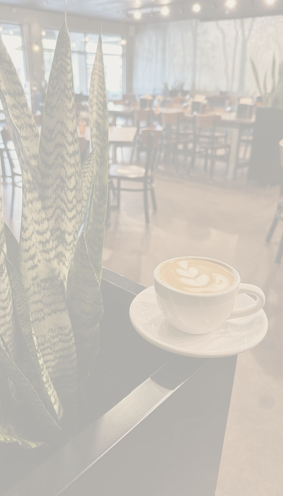A white ceramic cup of latte with latte art, placed on a saucer on a black table, alongside a potted plant inside a cozy café.