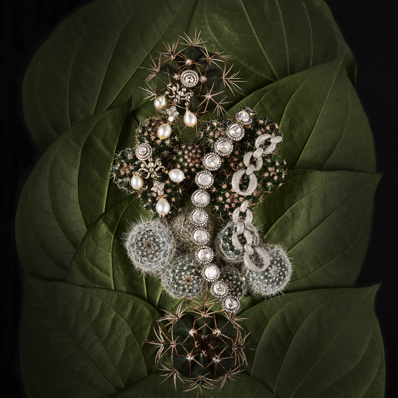 Screenshot 2026-02-04 at 11.56.06 AM.png