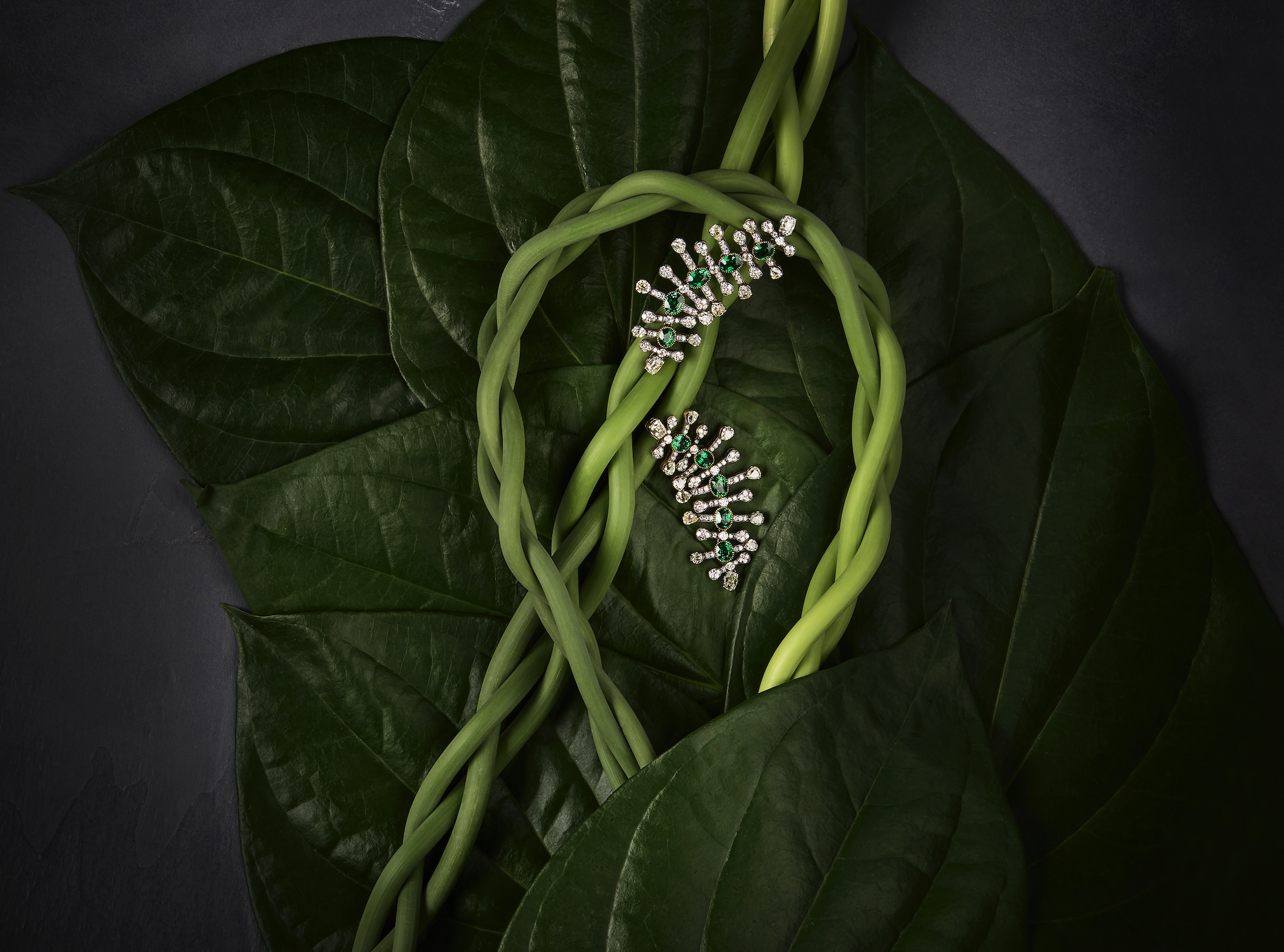 Screenshot 2026-02-04 at 11.55.44 AM.png