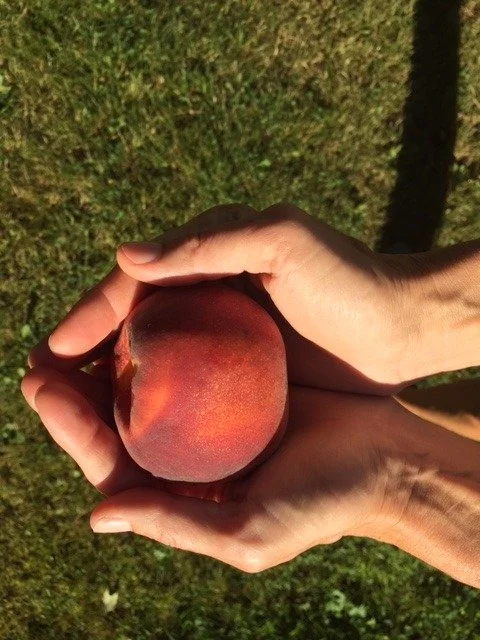 It All Started with a Juicy Peach