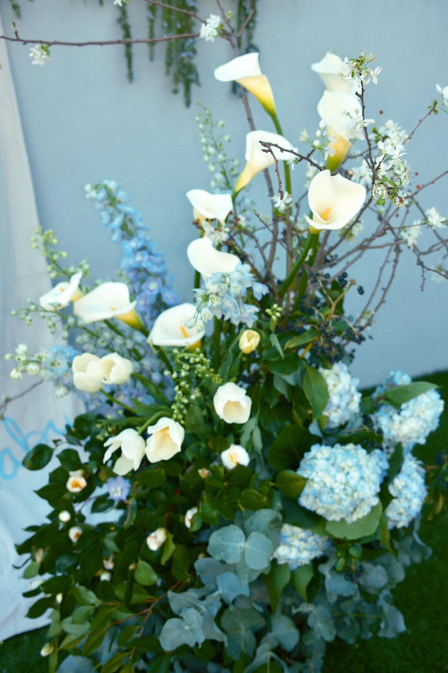 DSCF2983.jpg