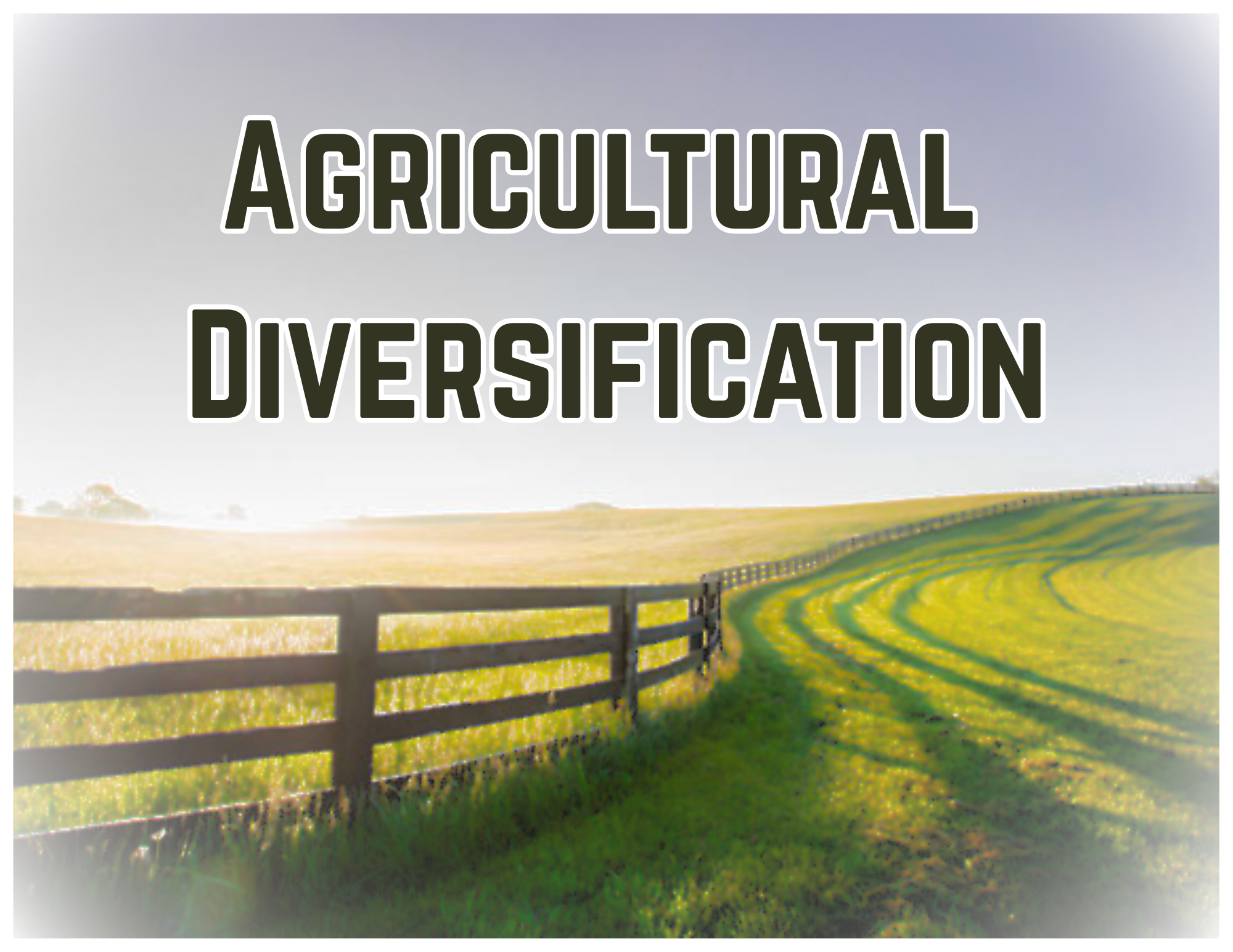 Agricultural Diversification.png