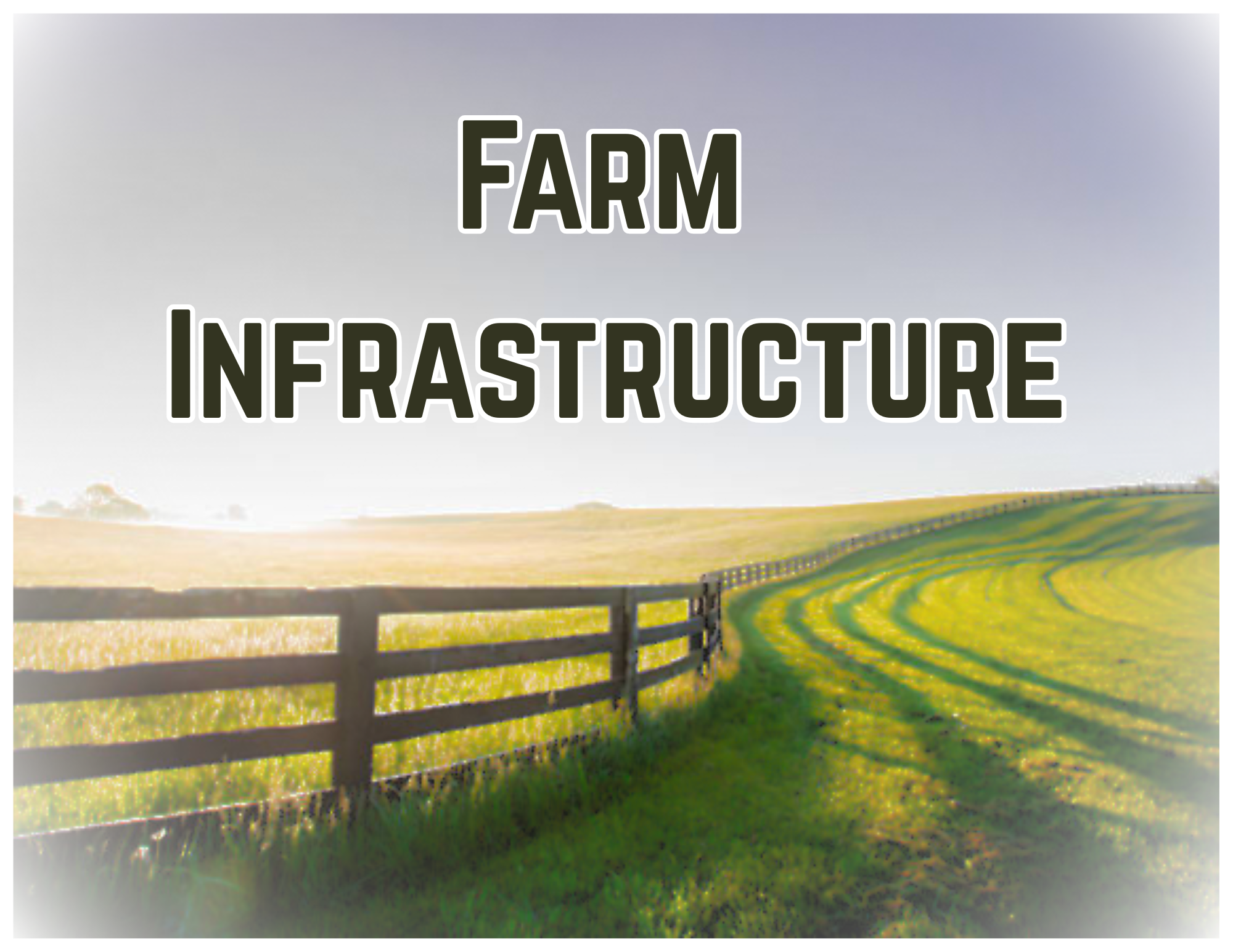 Agricultural Diversification (5).png