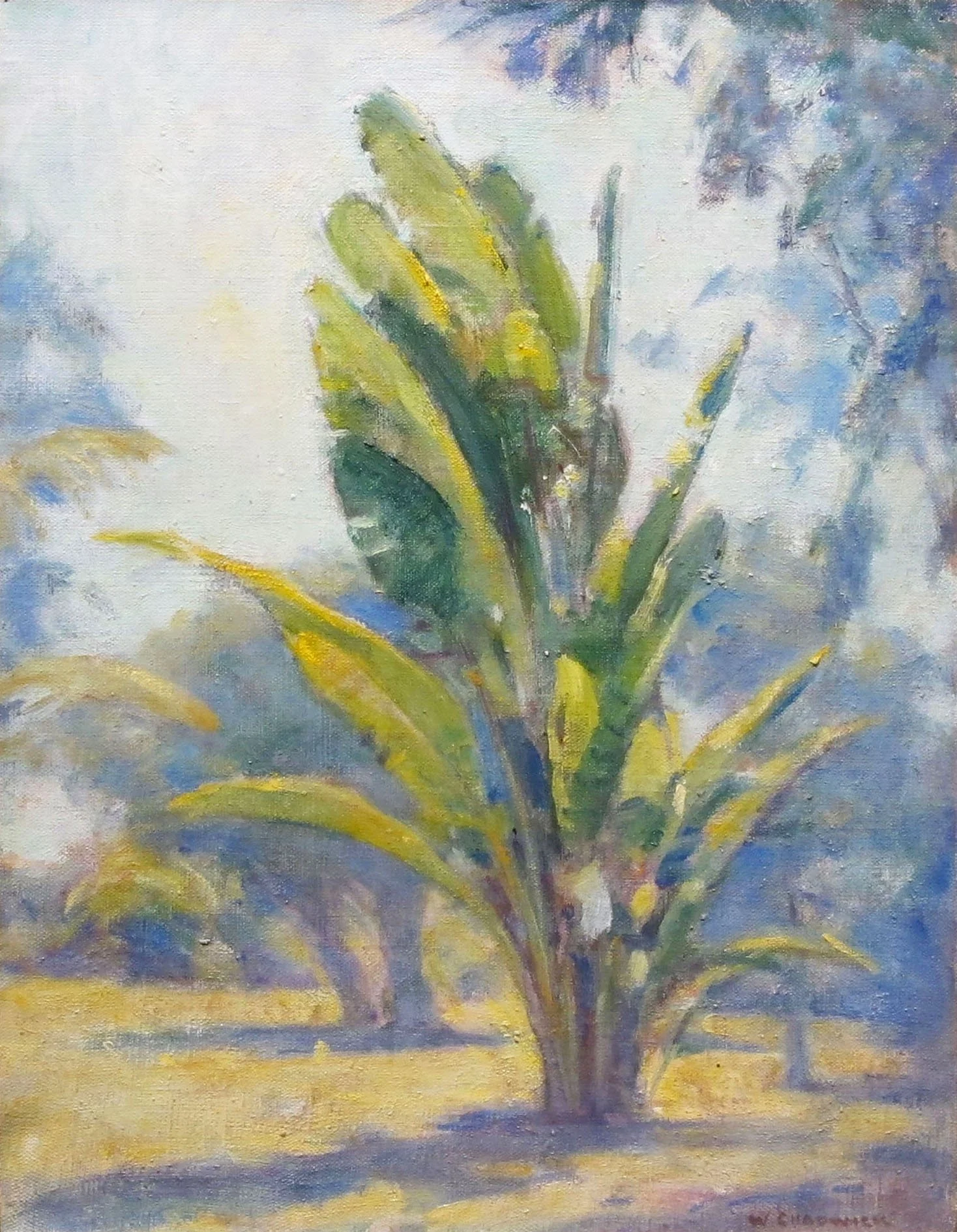 William Chadwick (1879-1962)