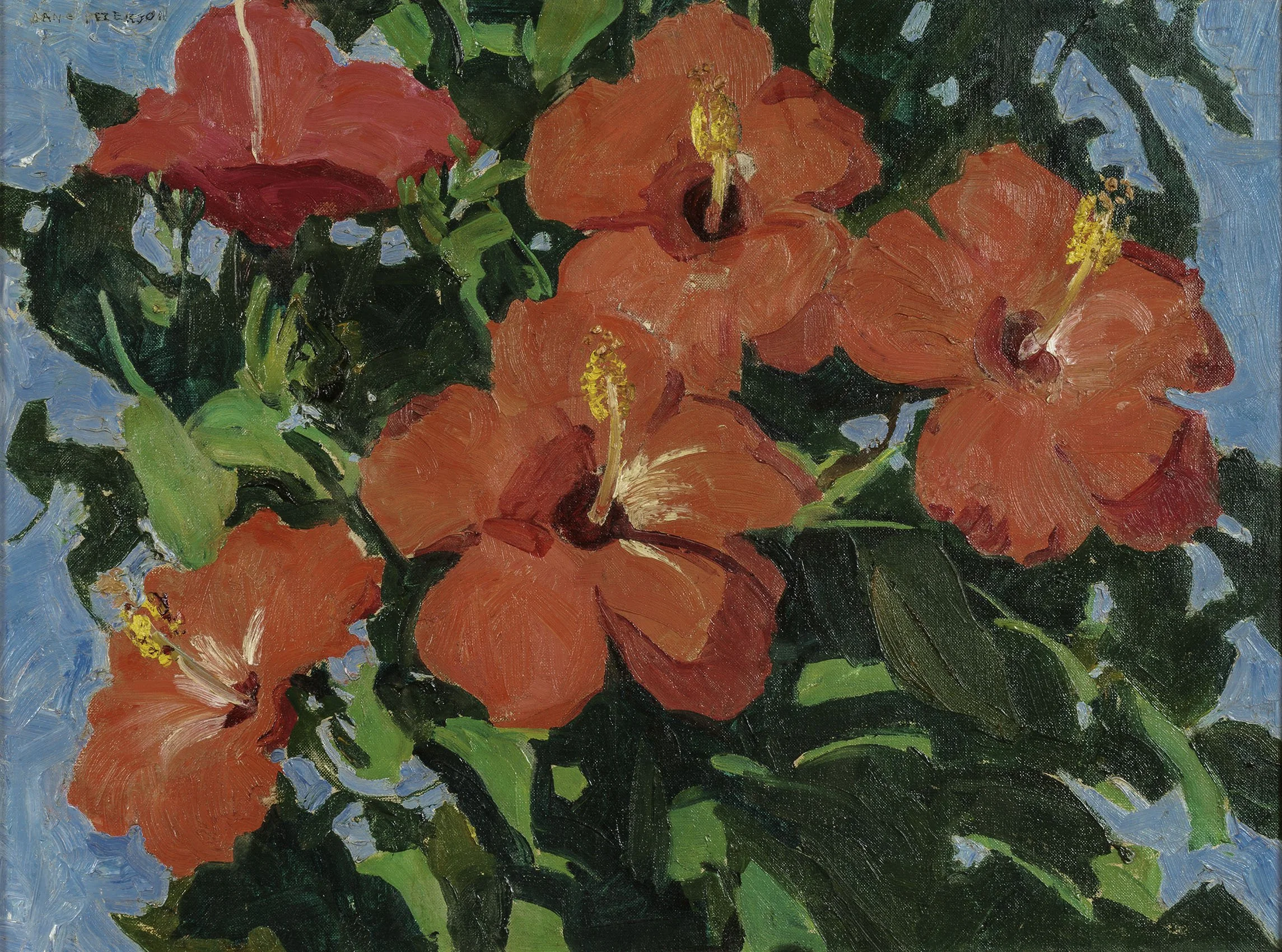 Jane Peterson 