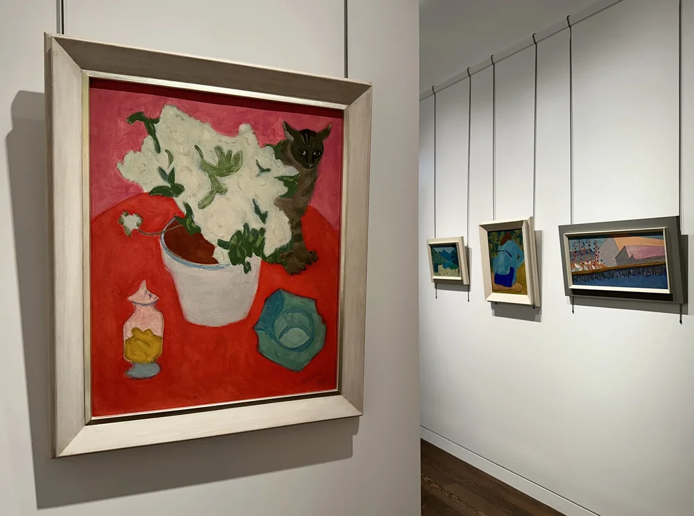 cat still life and wall behid.jpg