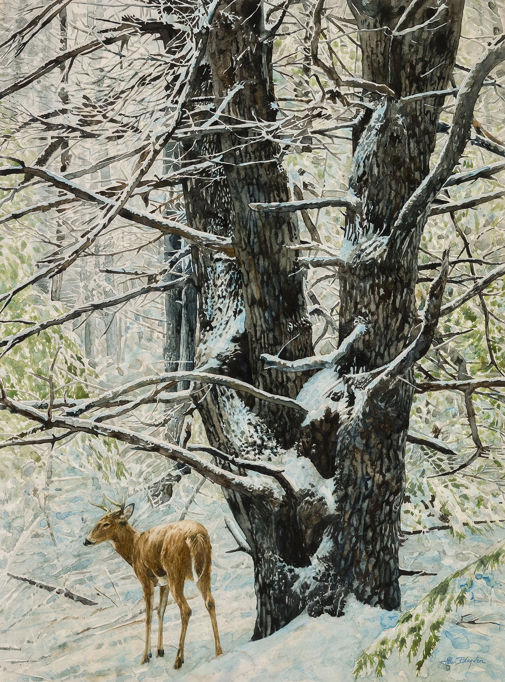 Allen Blagden (b. 1938)