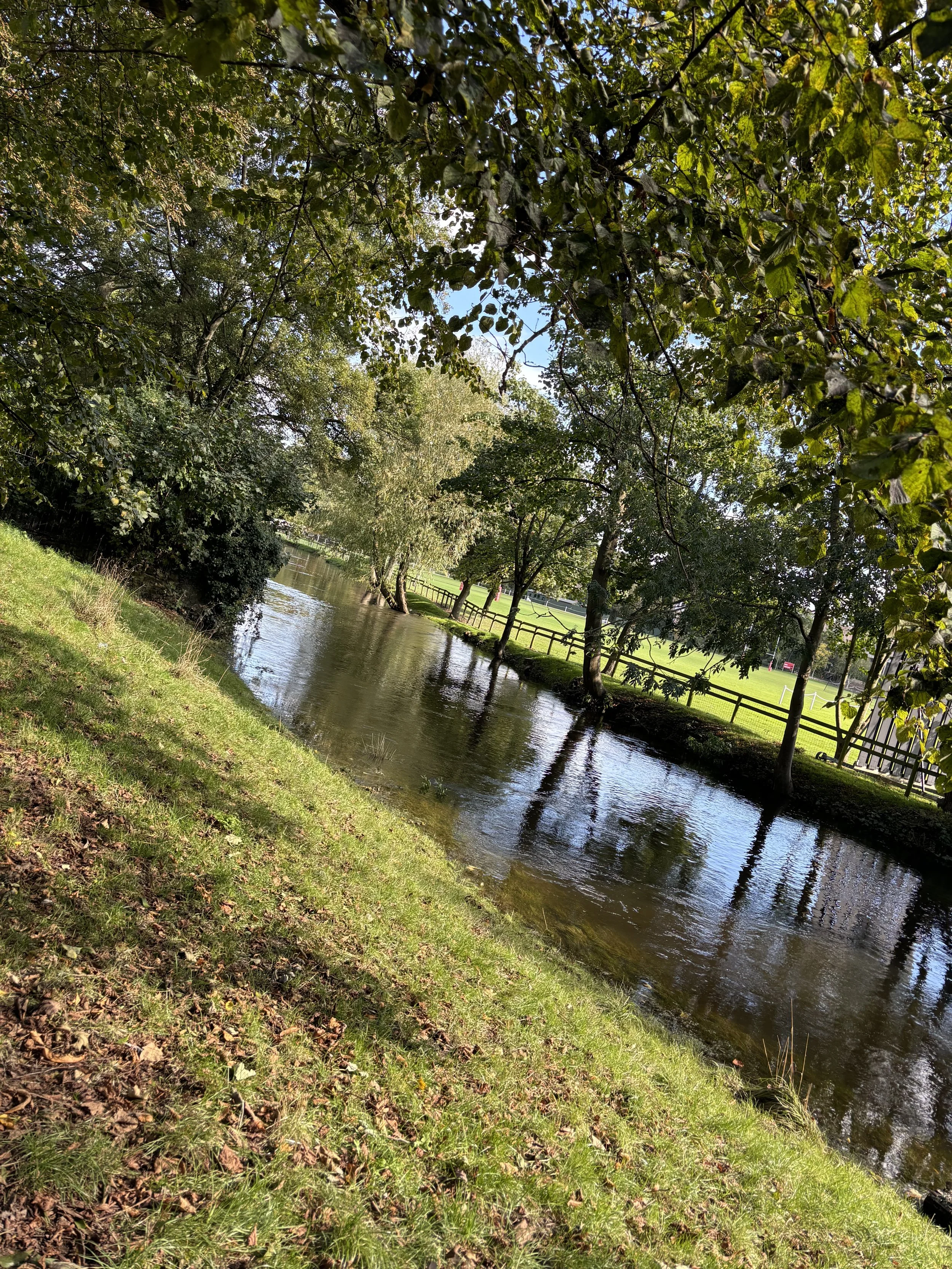 IMG_3223.jpeg