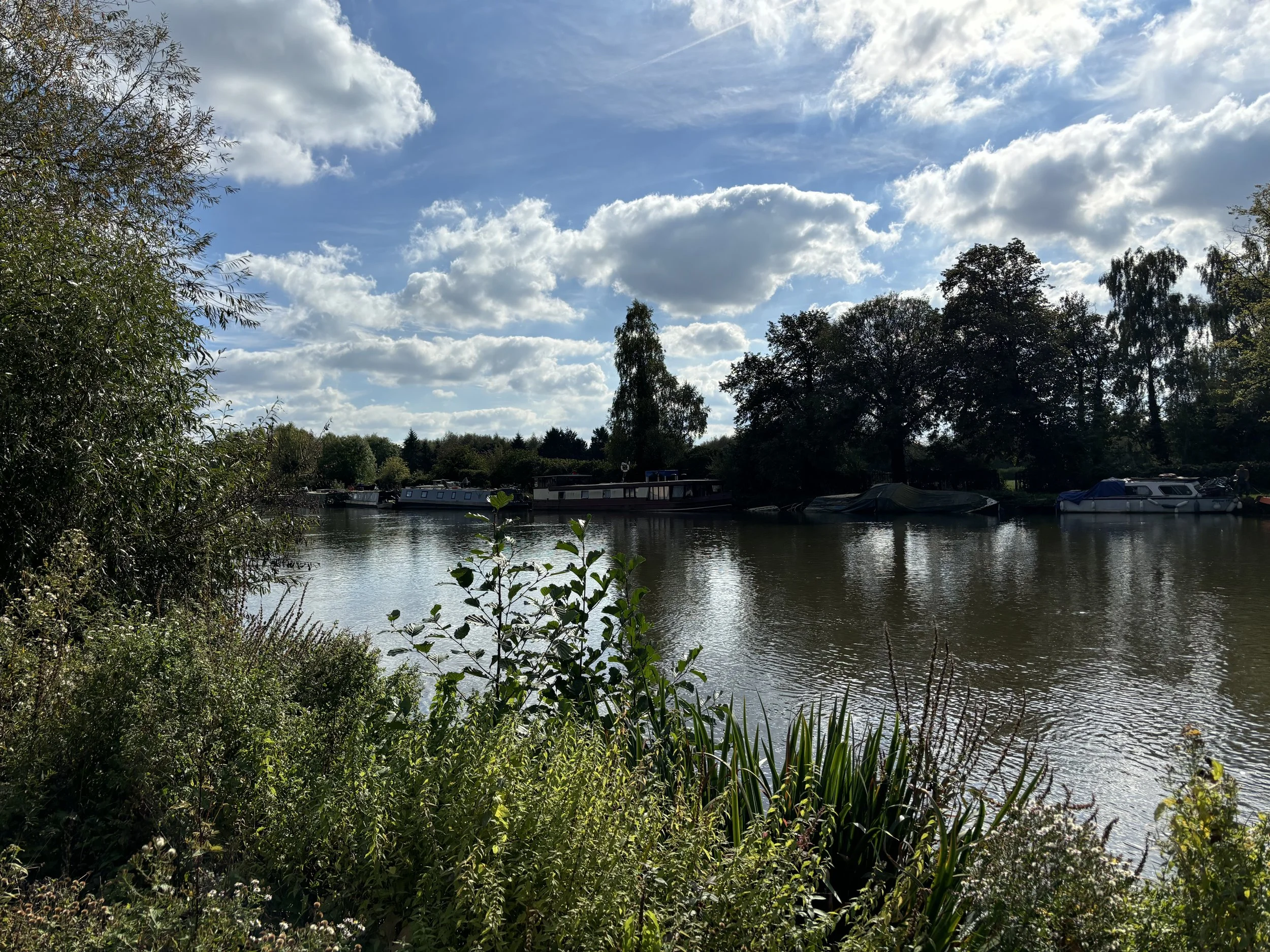 IMG_3231.jpeg