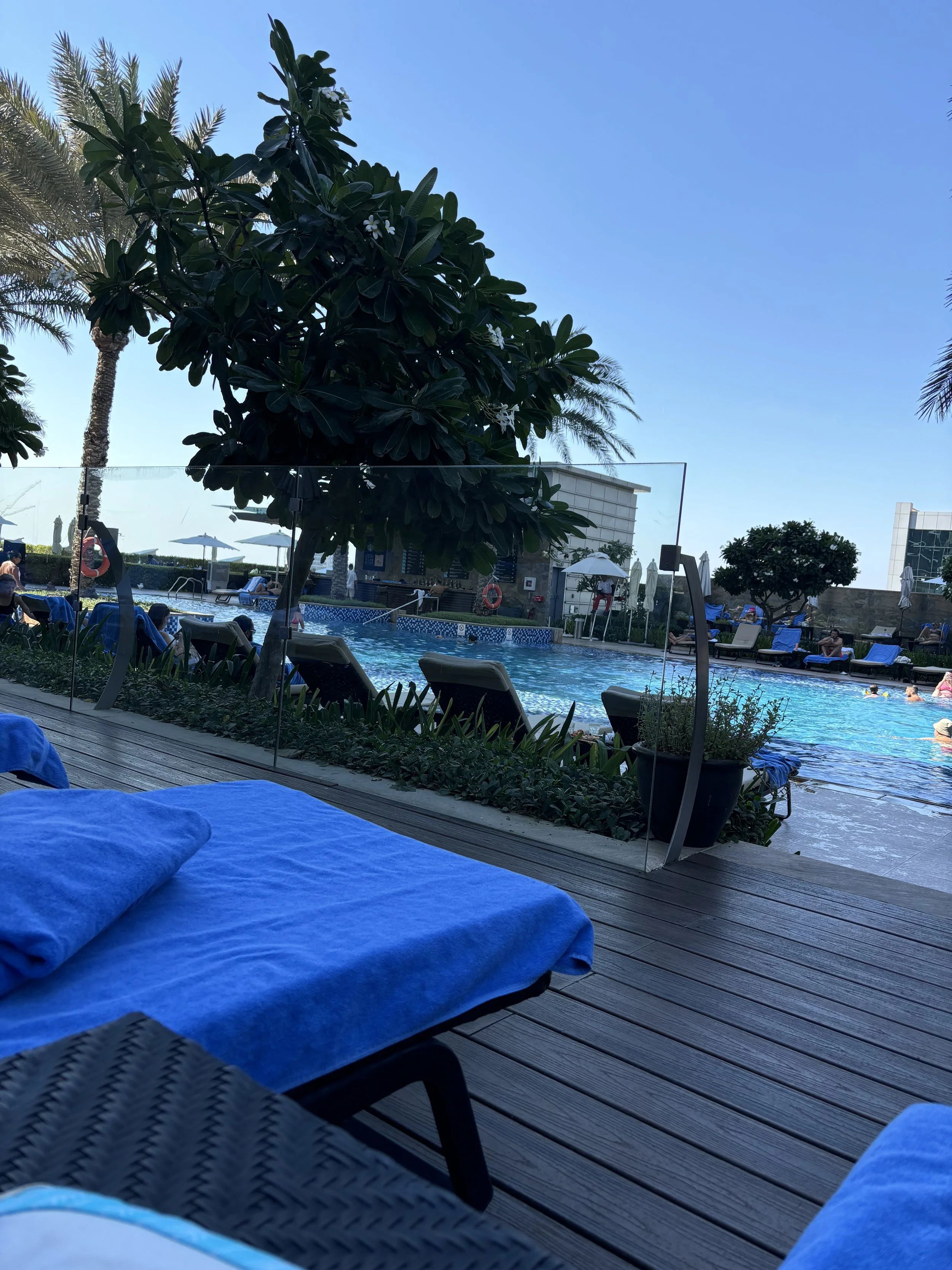 IMG_3461.jpeg