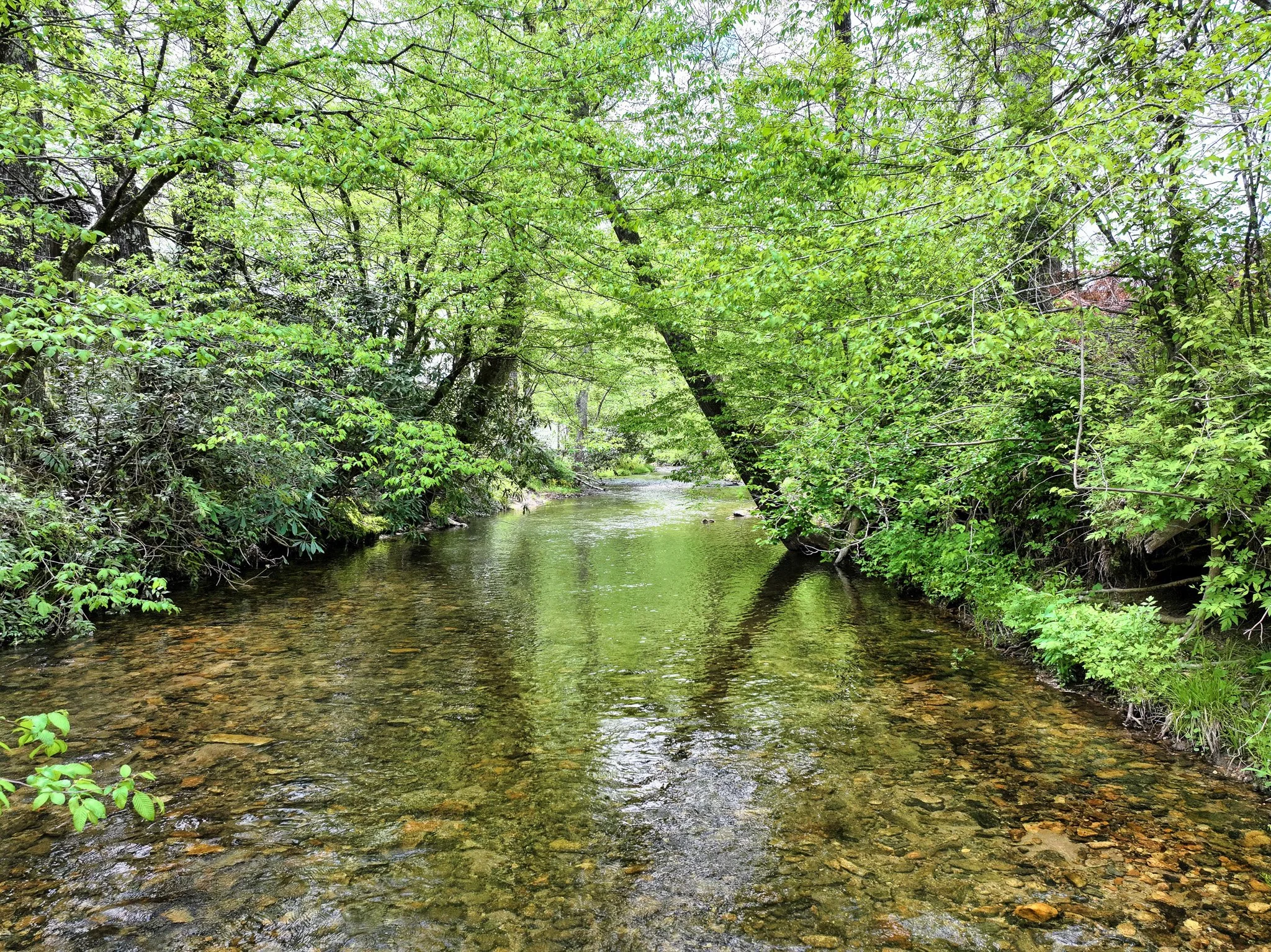 The Green River frontage on the lower acreage