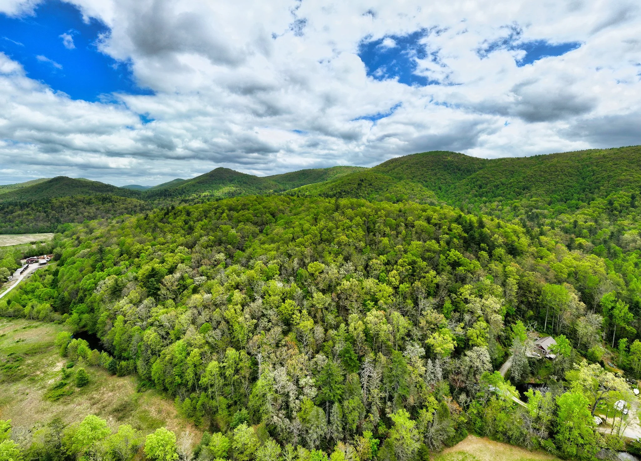 95 - 688 Blueberry Farm Rd - NC Real Estate Photography -  Skywalker Air - Real Estate Photography.jpg