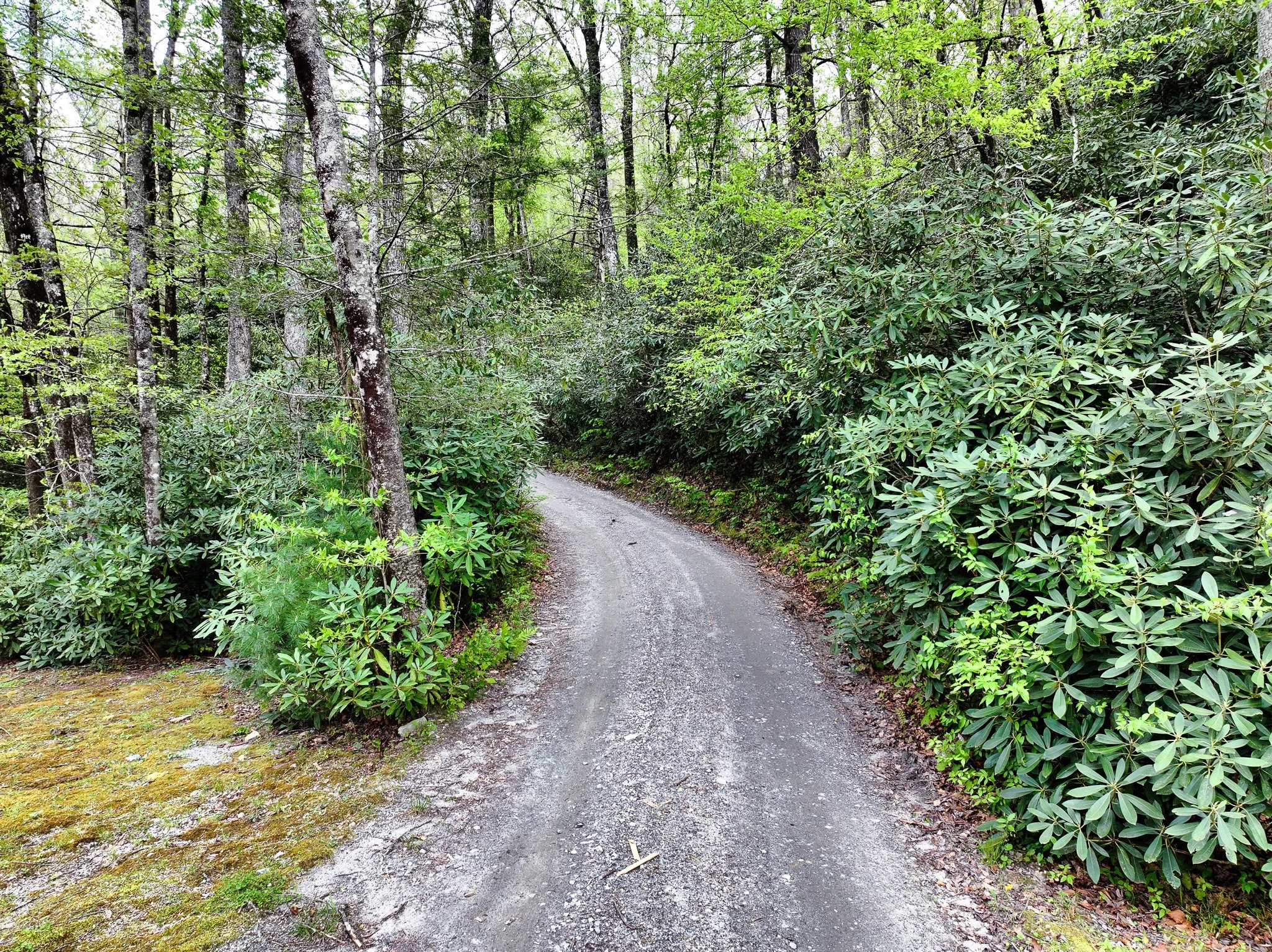 Road to the home from the lower acreage