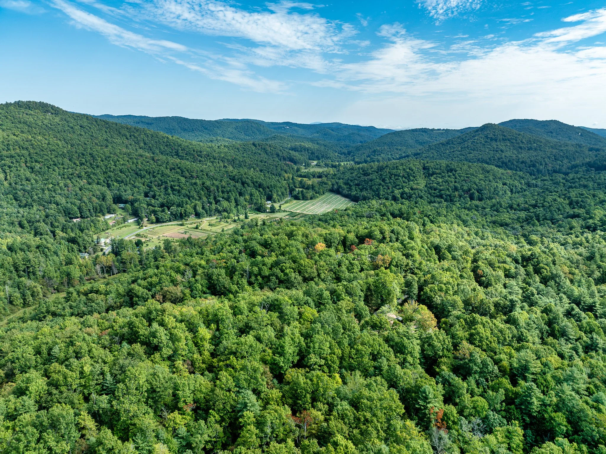2 - 688 Blueberry Farm Rd - NC Real Estate Photography -  Skywalker Air - Real Estate Photography.jpg