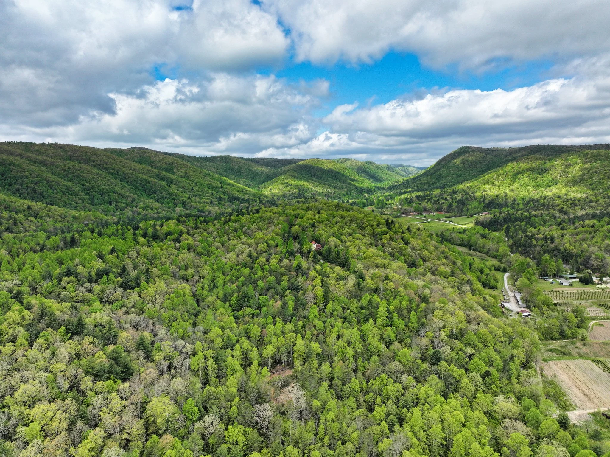 69 - 688 Blueberry Farm Rd - NC Real Estate Photography -  Skywalker Air - Real Estate Photography.jpg